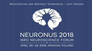 Neuronus_plakat