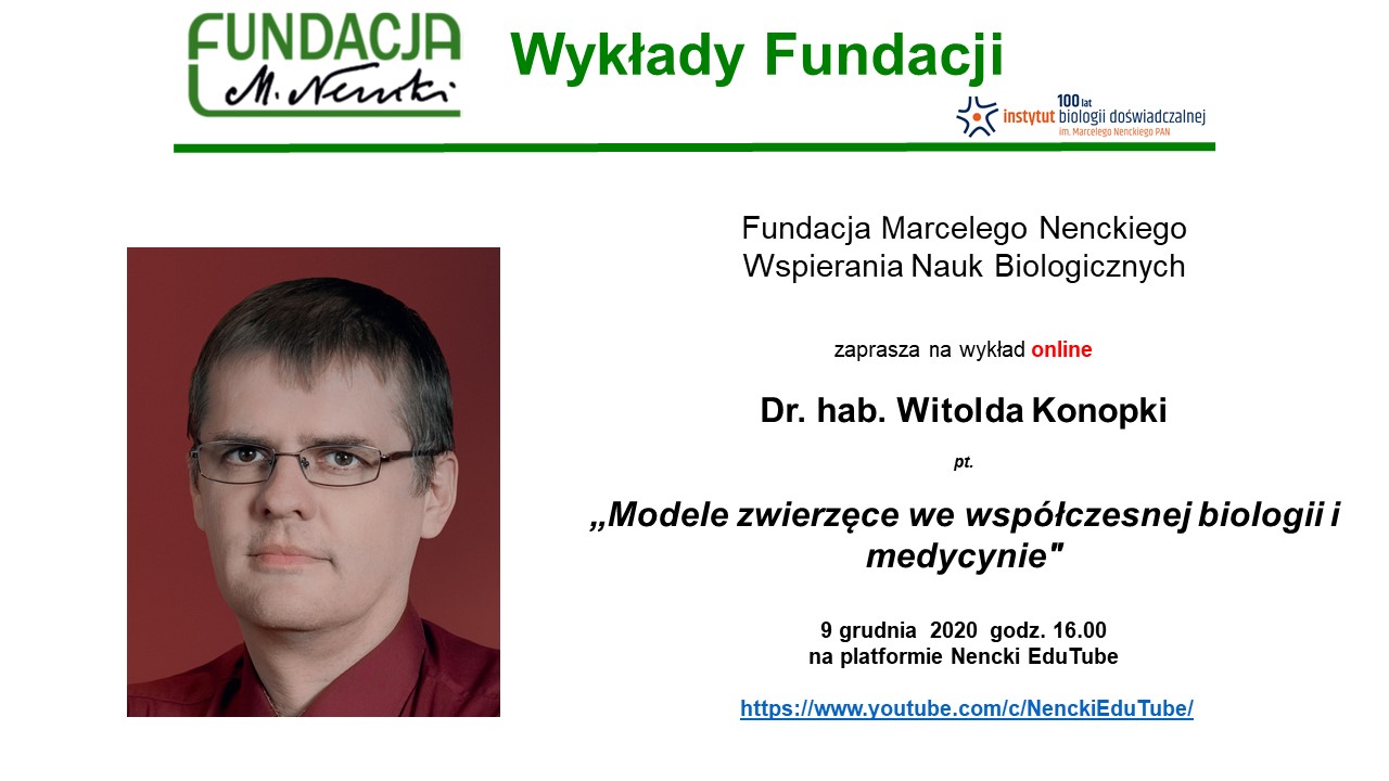 wkonopka slajd